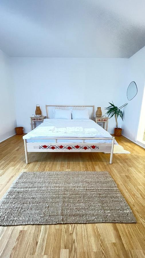 Biolocalia House Dobrogea Appartement Balotesti Buitenkant foto