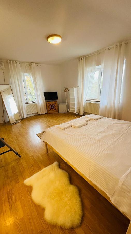 Biolocalia House Dobrogea Appartement Balotesti Buitenkant foto