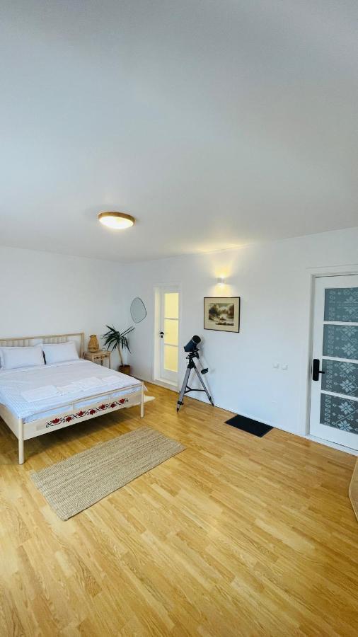 Biolocalia House Dobrogea Appartement Balotesti Buitenkant foto